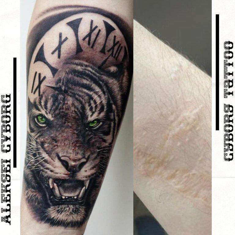 Изображение №2 компании Сyborg Tattoo