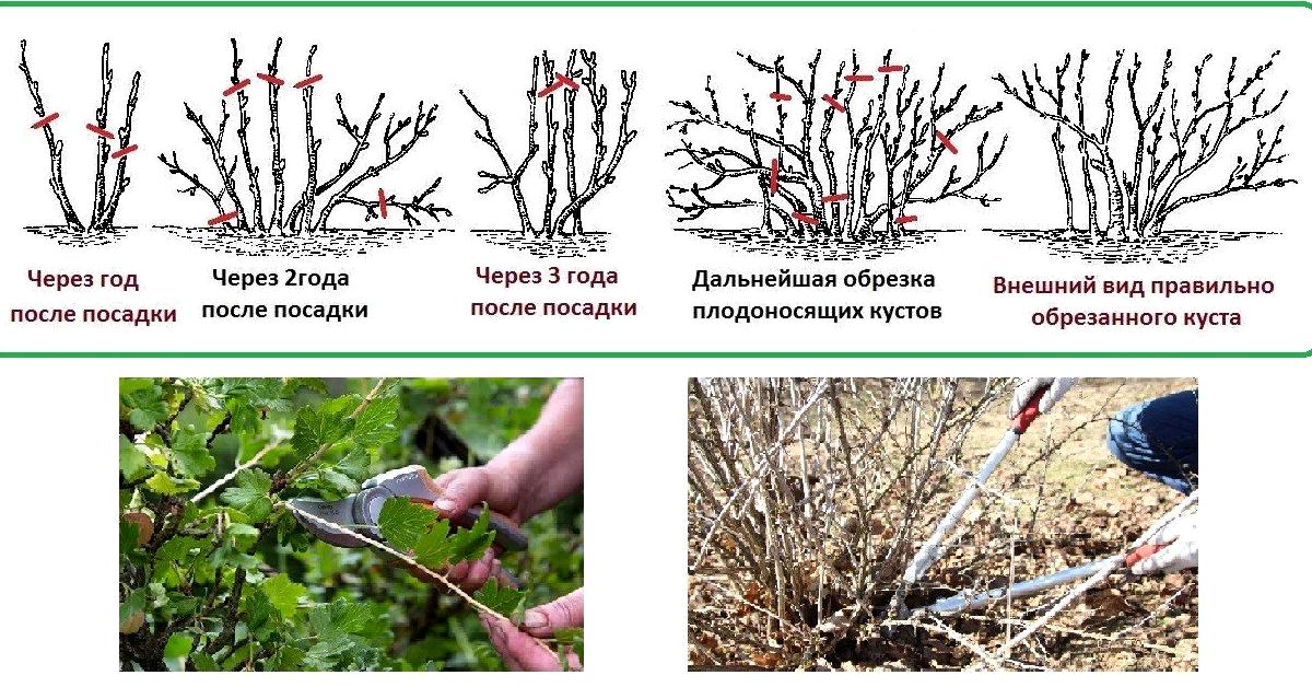 Изображение №20 компании Вашсад24