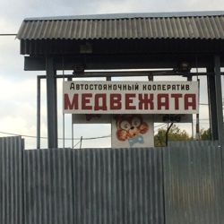 Изображение №4 компании Медвежата