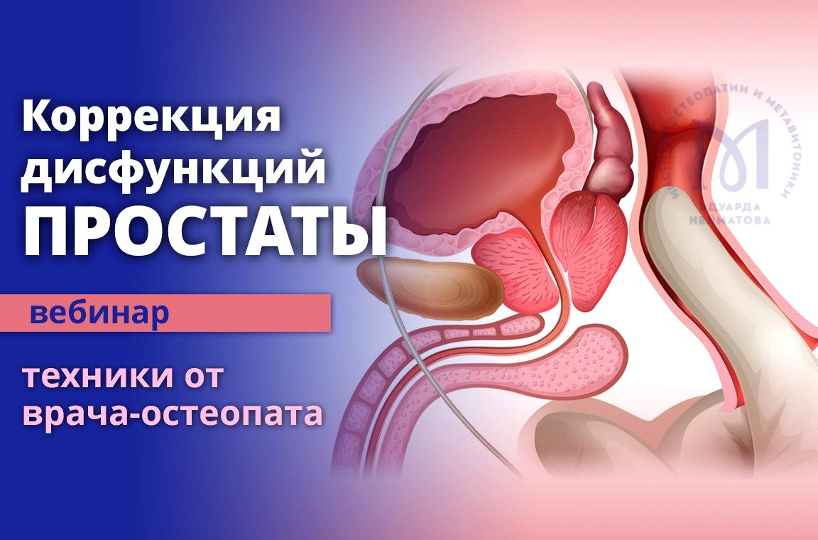 Изображение №19 компании Институт остеопатии и метавитоники профессора Э.М. Нейматова