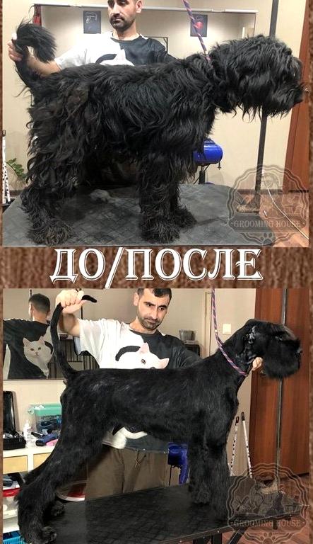 Изображение №13 компании Grooming House