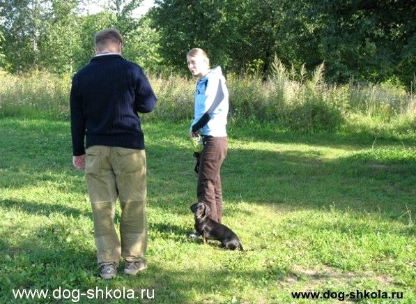 Изображение №19 компании Dog-shkola