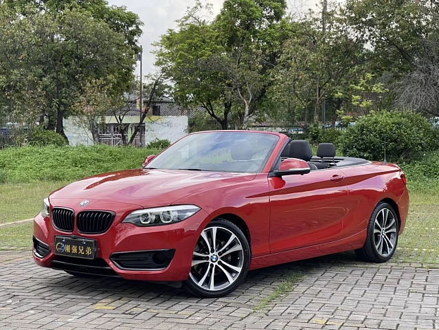 BMW 2 Series 2021 2L — из Китая под ключ