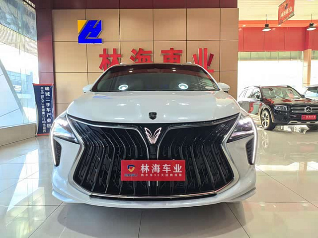 Forthing Lingzhi Yacht 2024 1.5L — из Китая под ключ