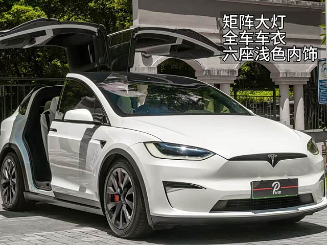 Tesla Model X 2023款 双电机全轮驱动版 — из Китая под ключ