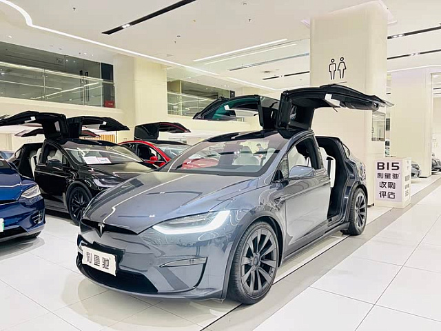Tesla Model X 2023款 双电机全轮驱动版 — из Китая под ключ