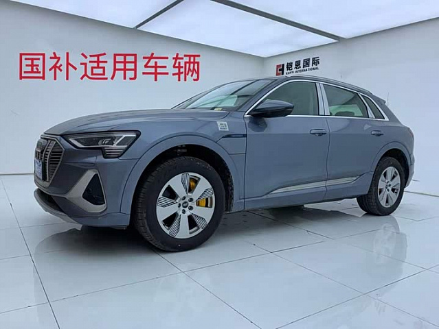 Audi e-tron 2021款 50 quattro 豪华型 230 кВт — из Китая под ключ