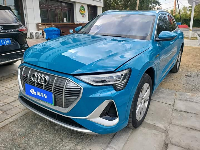 Audi e-tron 2021款 50 quattro 豪华型 — из Китая под ключ