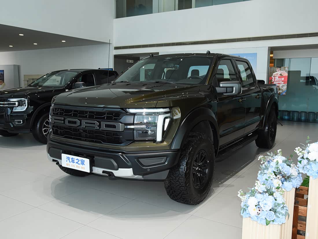 Ford F-150 Raptor — фото 1