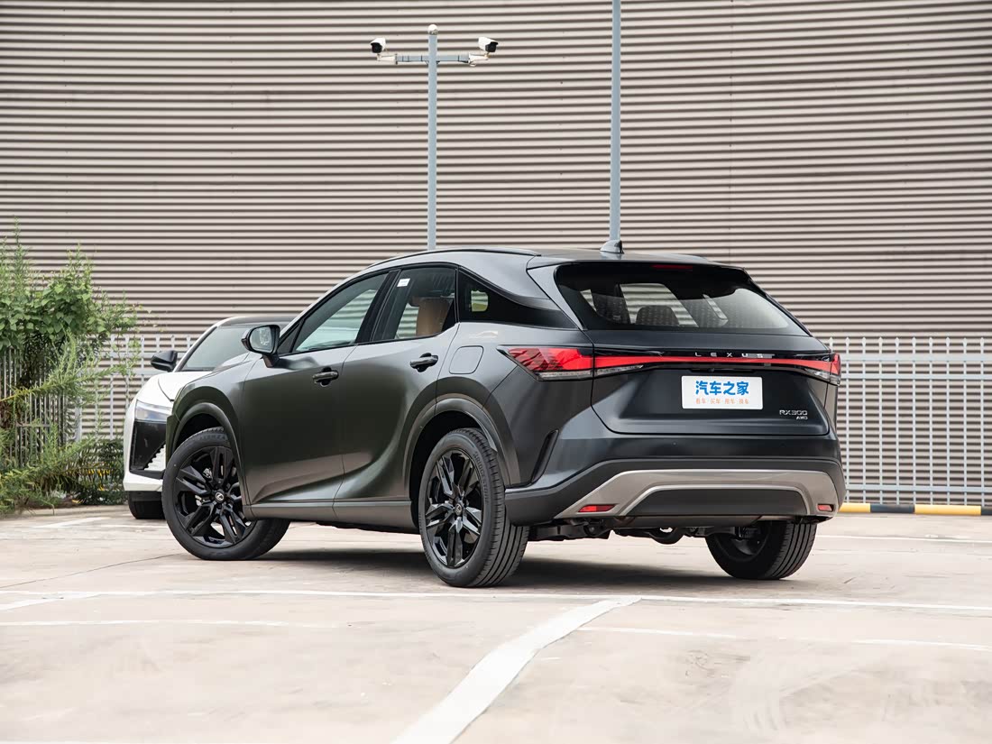 Lexus RX — фото 4
