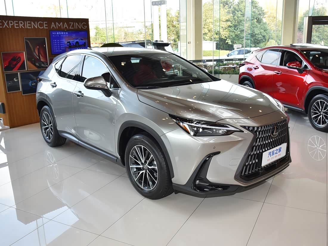 Lexus NX — фото 3