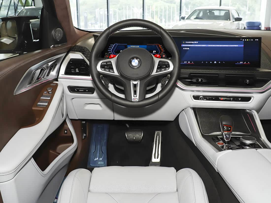 BMW XM — фото 6
