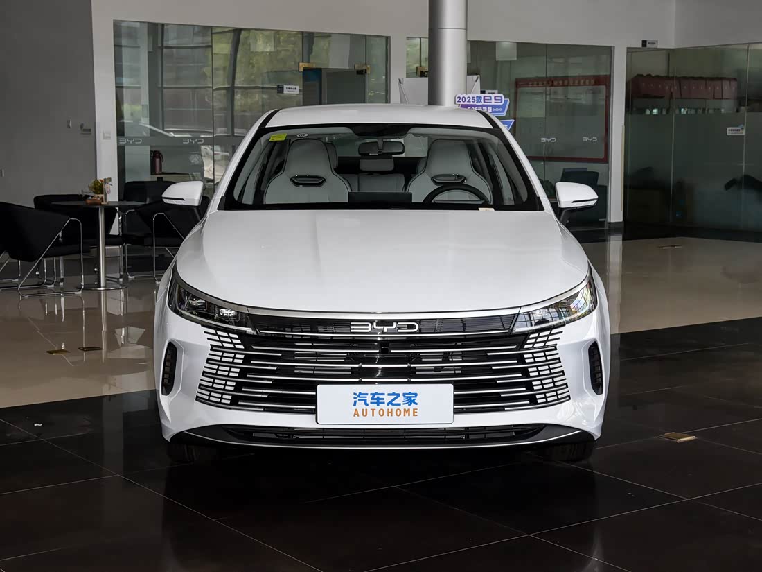 BYD Destroyer 05 — фото 1