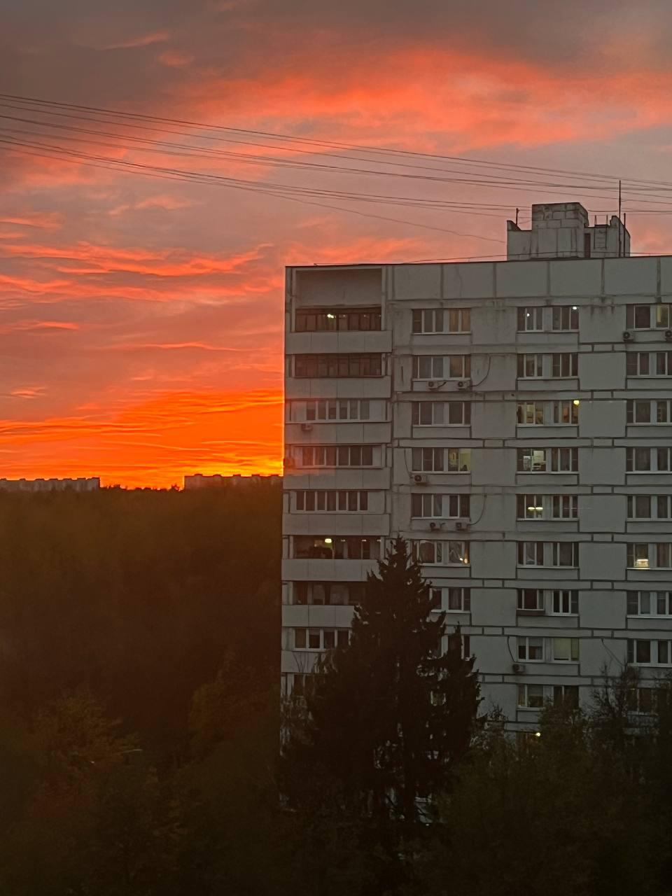 Скрытая подборка для поиска