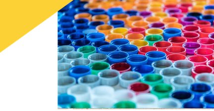 nomenclature preview