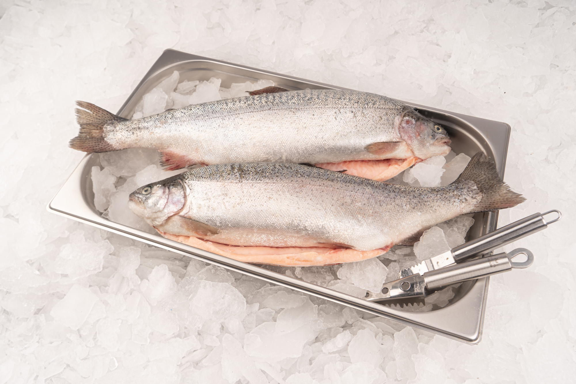 Форель охлажденная