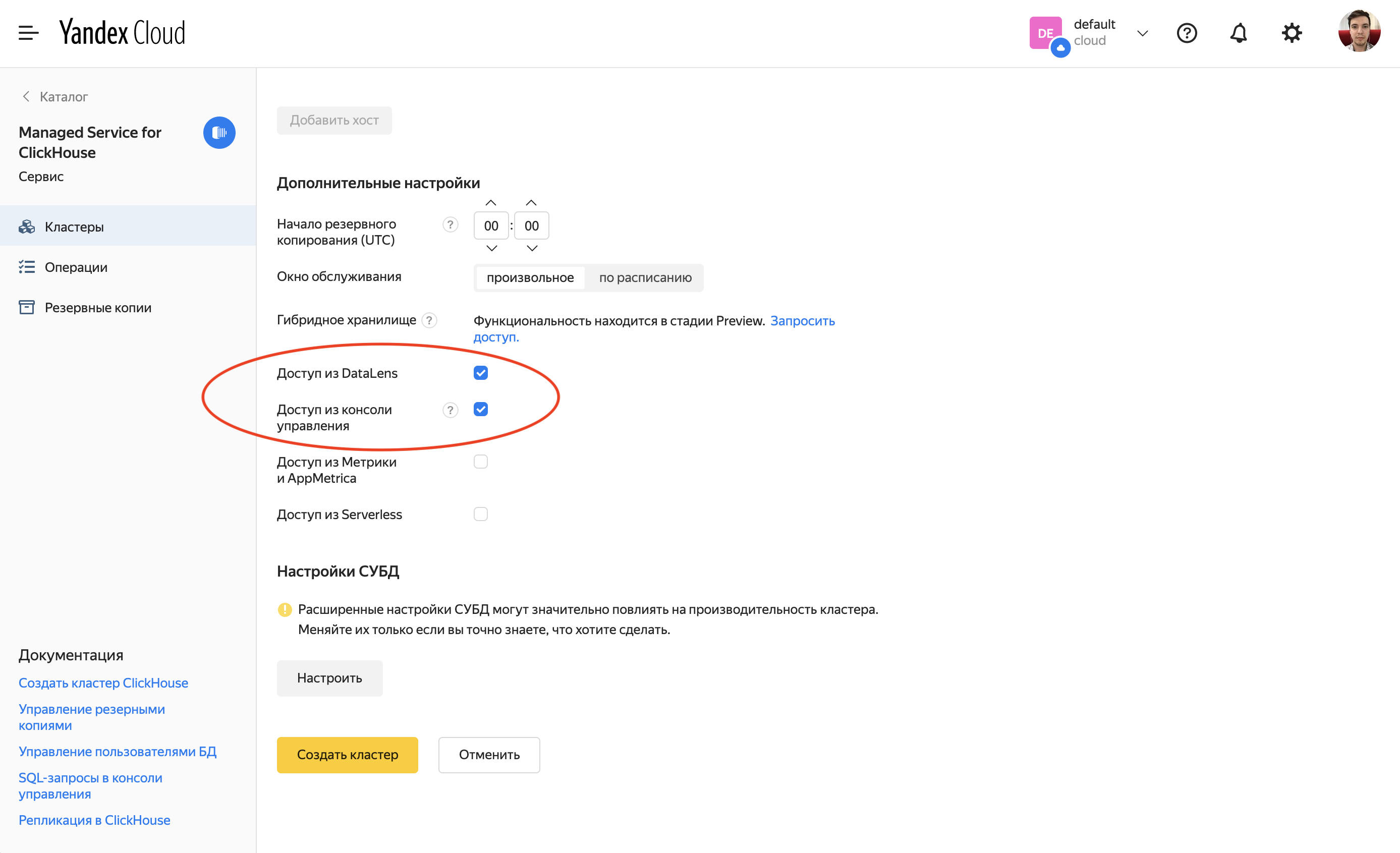 Adding Datalens access to cludter