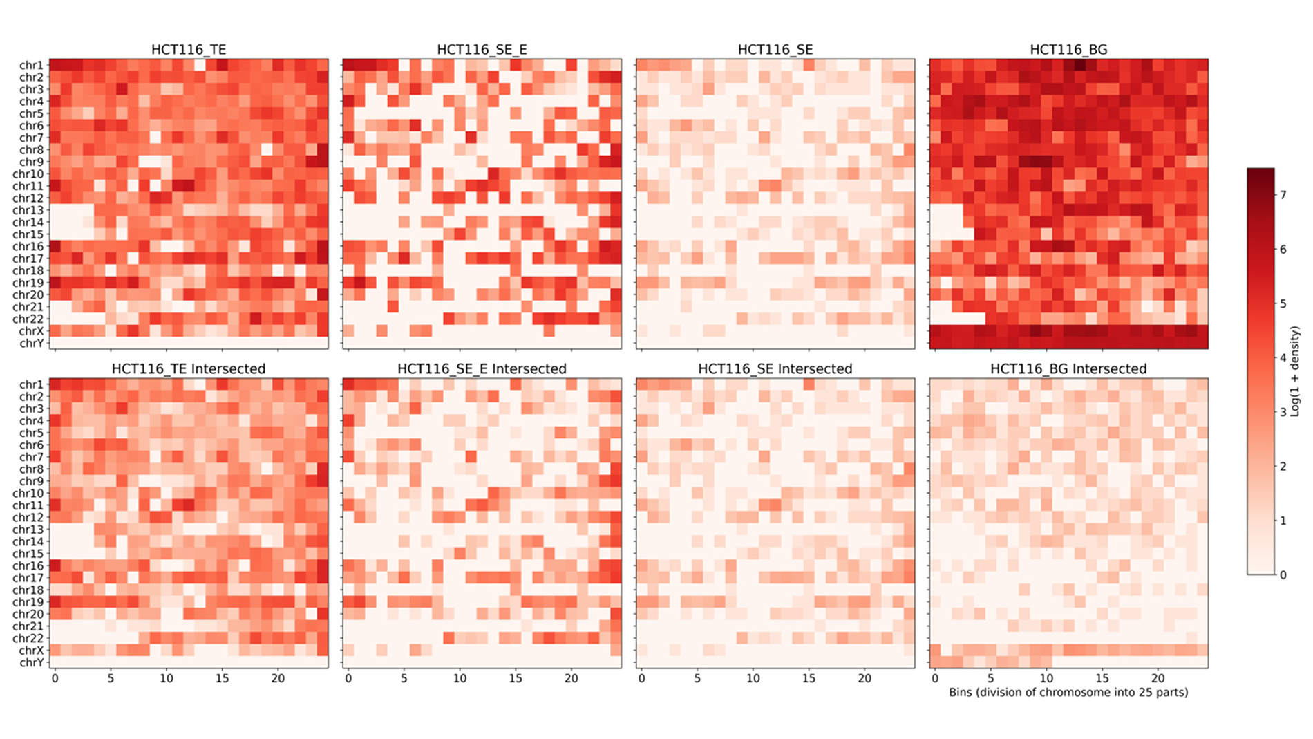 Полноэкранное изображение