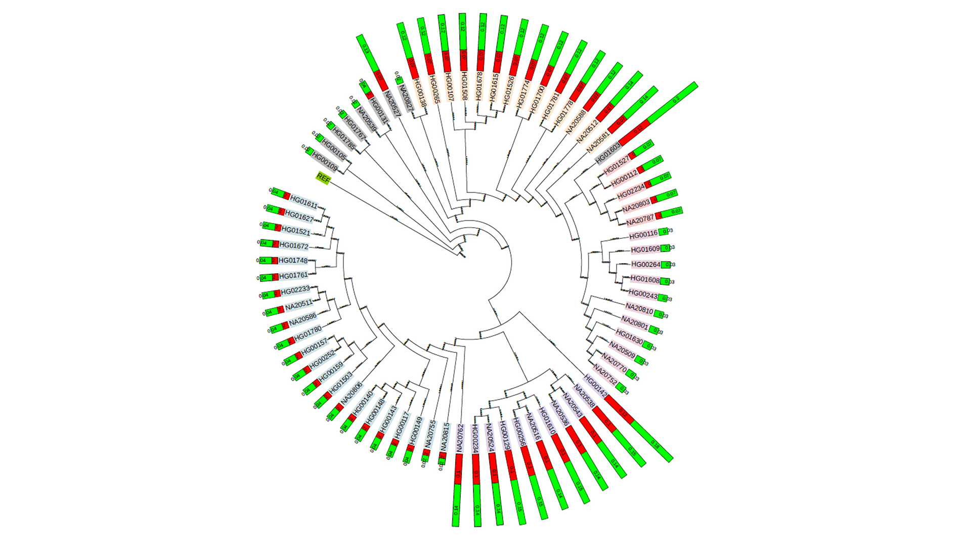 Полноэкранное изображение