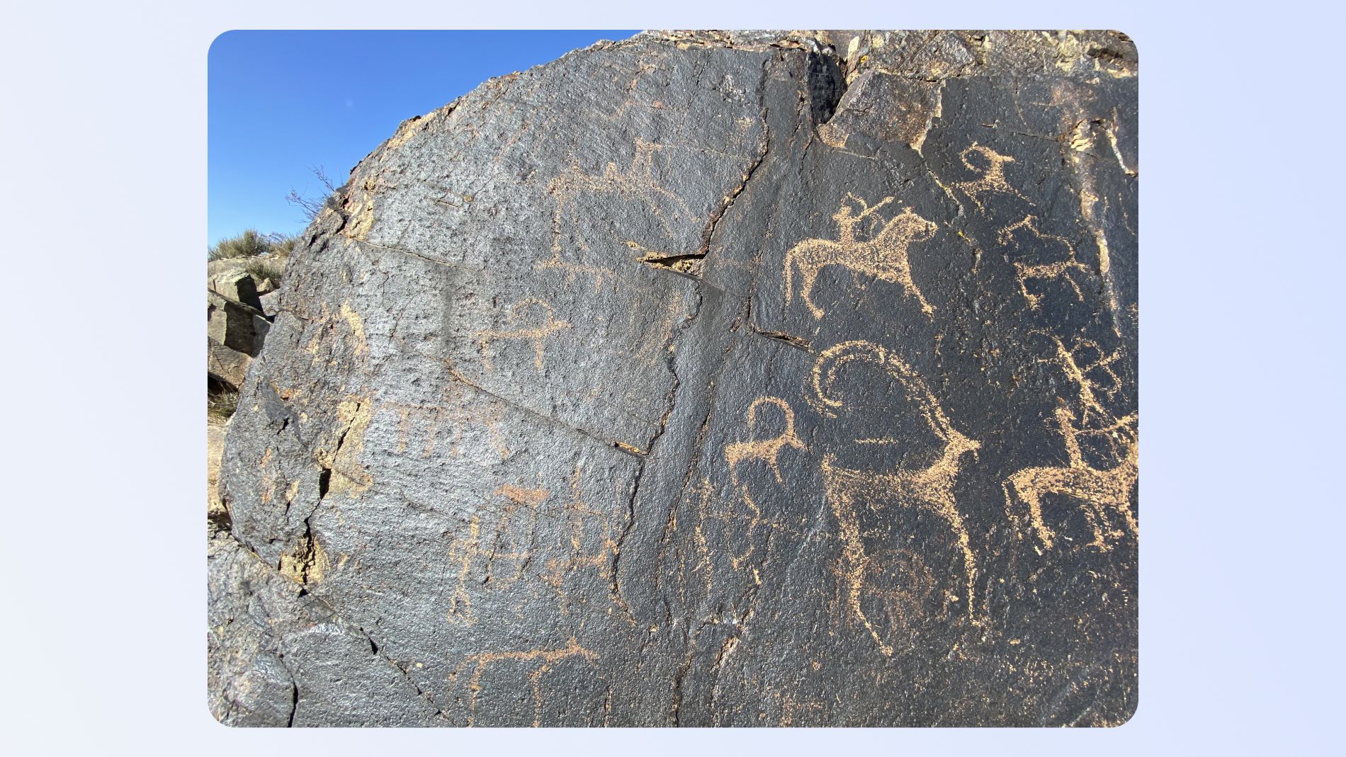 Полноэкранное изображение