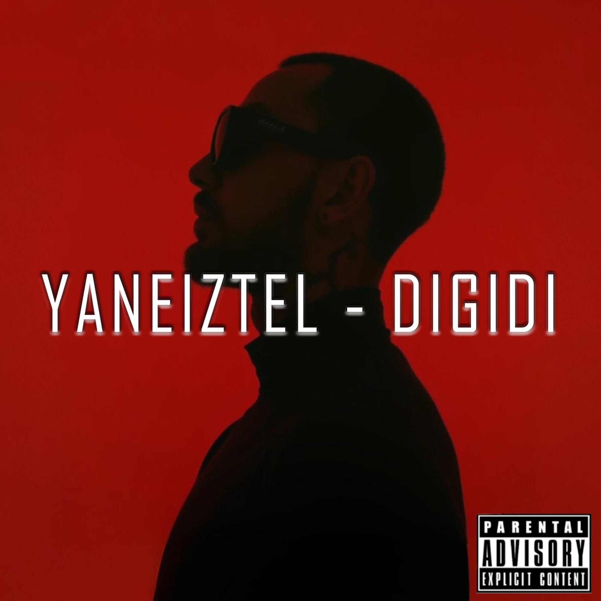 Обложка релиза «DIGIDI» — YANEIZTEL