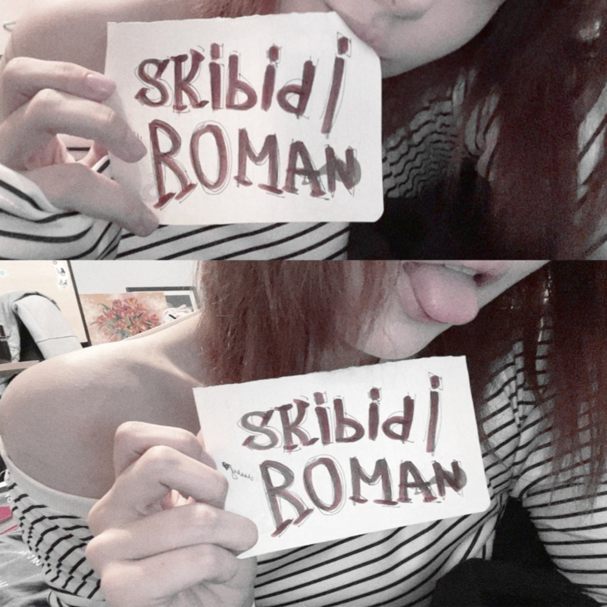 Обложка релиза «Skibidi Roman <3» — R.S.69