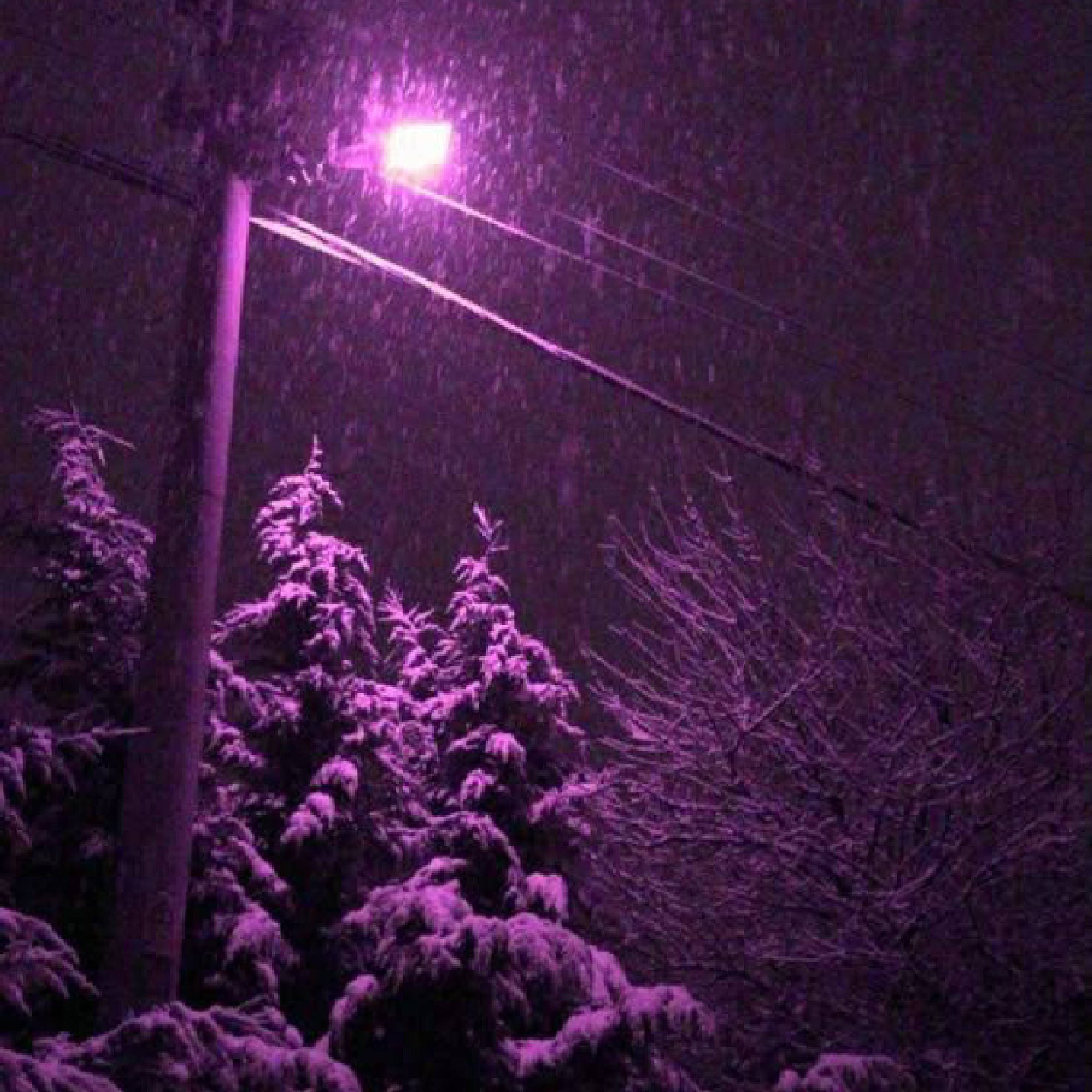 Обложка релиза «seasons» — Сэйбус, Yesleepy