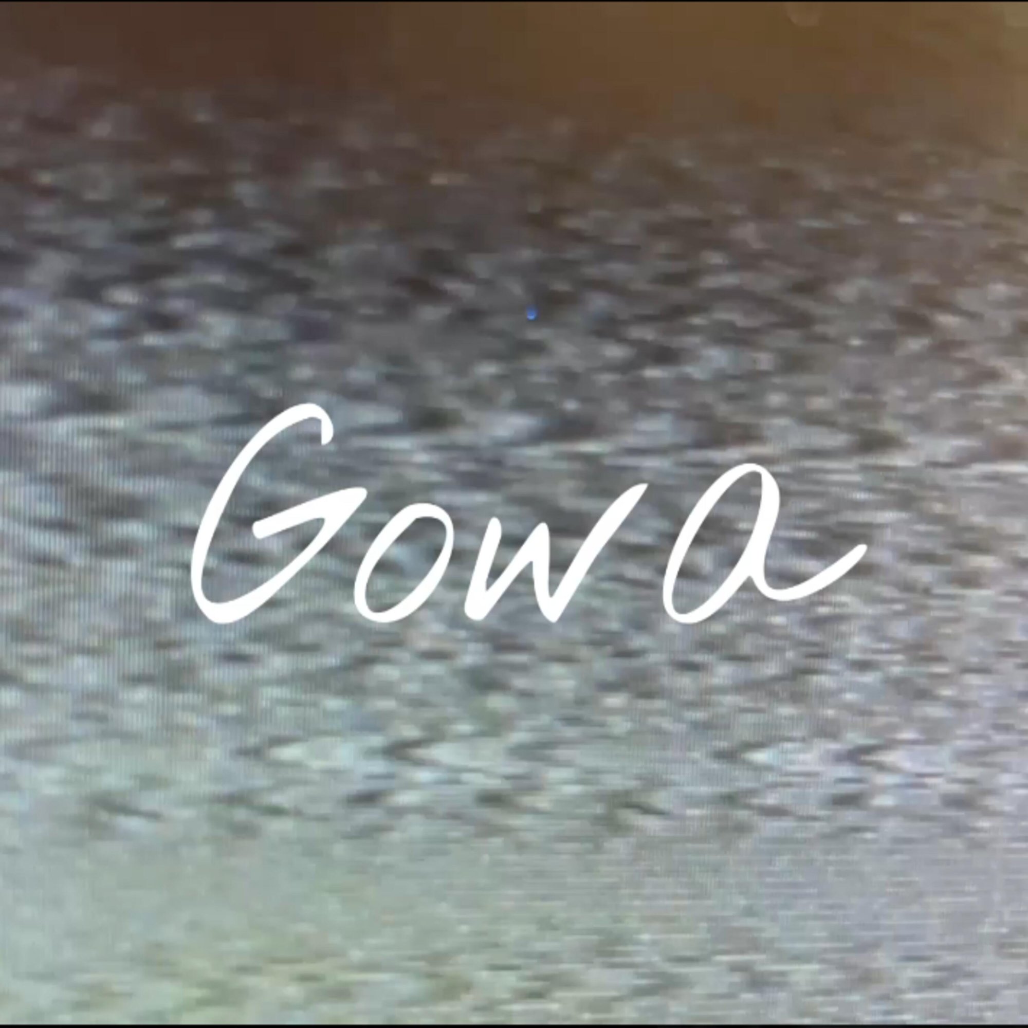 Обложка релиза «Formula 1» — Gowa