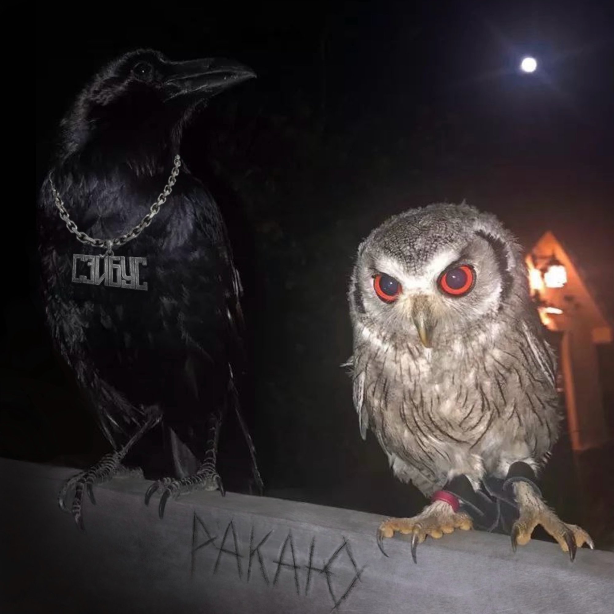 Обложка релиза «РАКАЮ» — Сэйбус