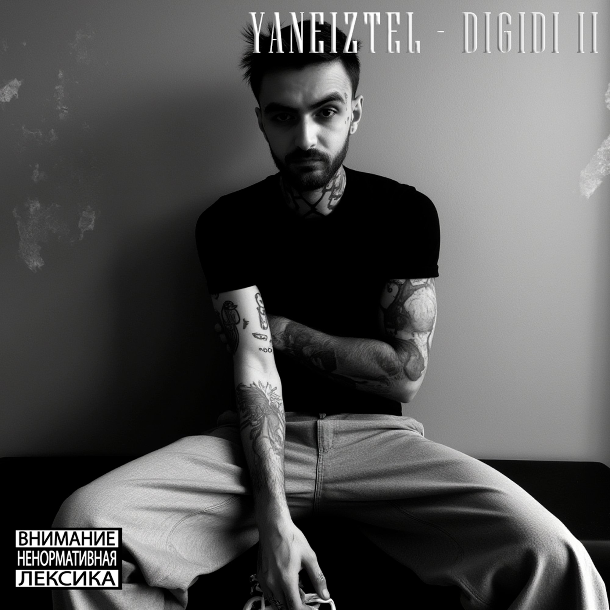 Обложка релиза «DIGIDI II» — YANEIZTEL