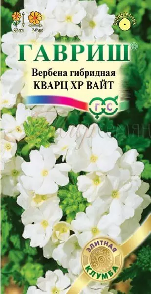 Семена цветов Вербена Кварц F1 Вайт 4 шт (Гавриш)