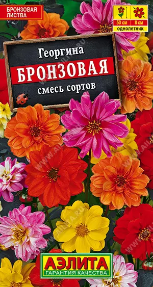 Семена цветы Георгина Бронзовая, смесь сортов. АЭЛИТА Ц/П 0,3 г