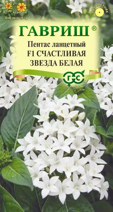 Семена цветов Пентас ланцетный Счастливая звезда белая F1, ГАВРИШ 3 шт ц/п