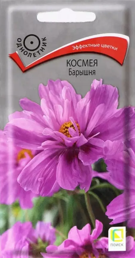 Семена цветов Космея Барышня 0.1 гр (Поиск)
