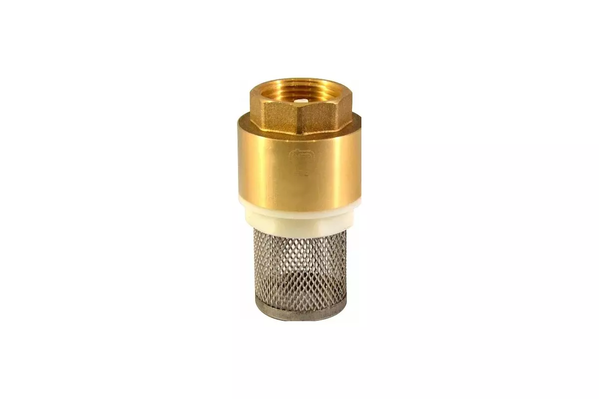 Обратный клапан с сеткой 3/4&quot; CTM CBCVF034