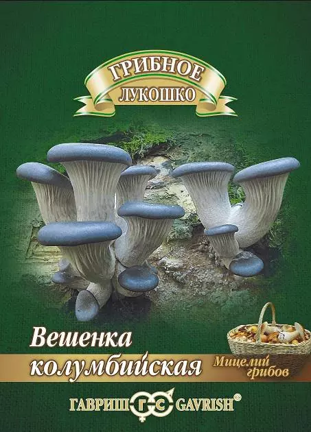 Семена Вешенка Колумбийская на древесной палочке 12шт Гавриш Ц/П