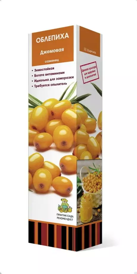 Саженец Облепиха Джемовая, средний, (женский, слабо колючий), в тубе, Поиск