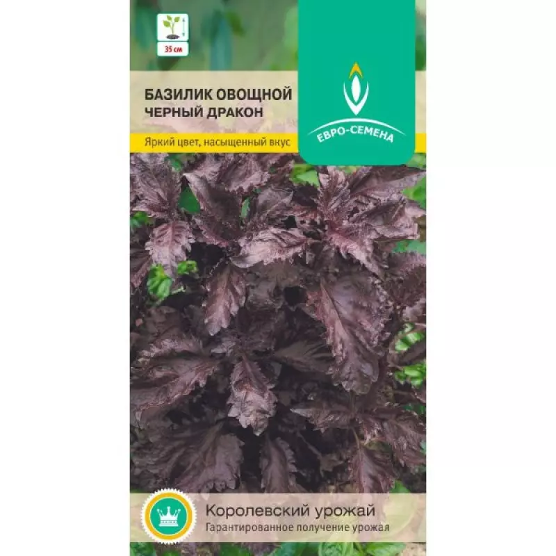 Семена Базилик овощной Черный дракон. ЕВРО-СЕМЕНА 0.1 г