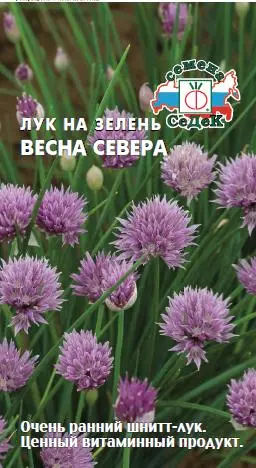 Семена Лук шнитт Весна Севера, СеДеК Ц/П 0,5 г