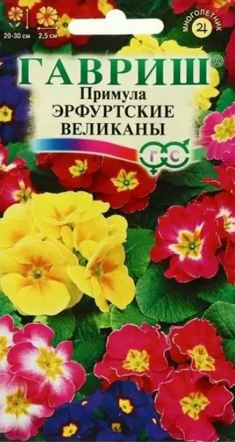 Семена цветов Примула высокая Эрфутские великаны, ГАВРИШ 20 шт ц/п