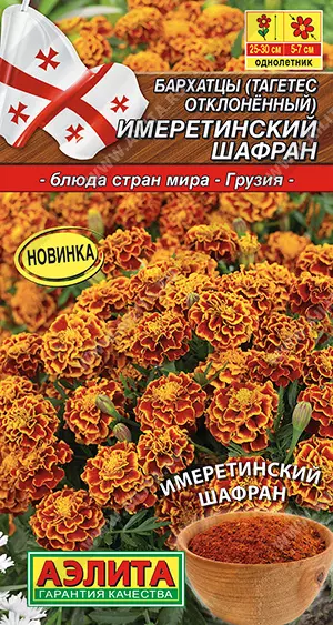 Развиваюсь и играю