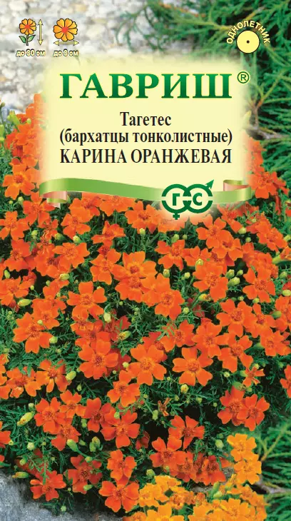 Семена цветов Бархатцы Карина оранжевая тонкол. 0,05 (Гавриш) цв