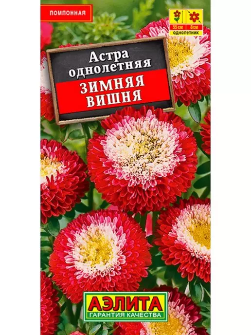 Семена цветов Астра Зимняя вишня помпонная. АЭЛИТА Ц/П 0,2 г