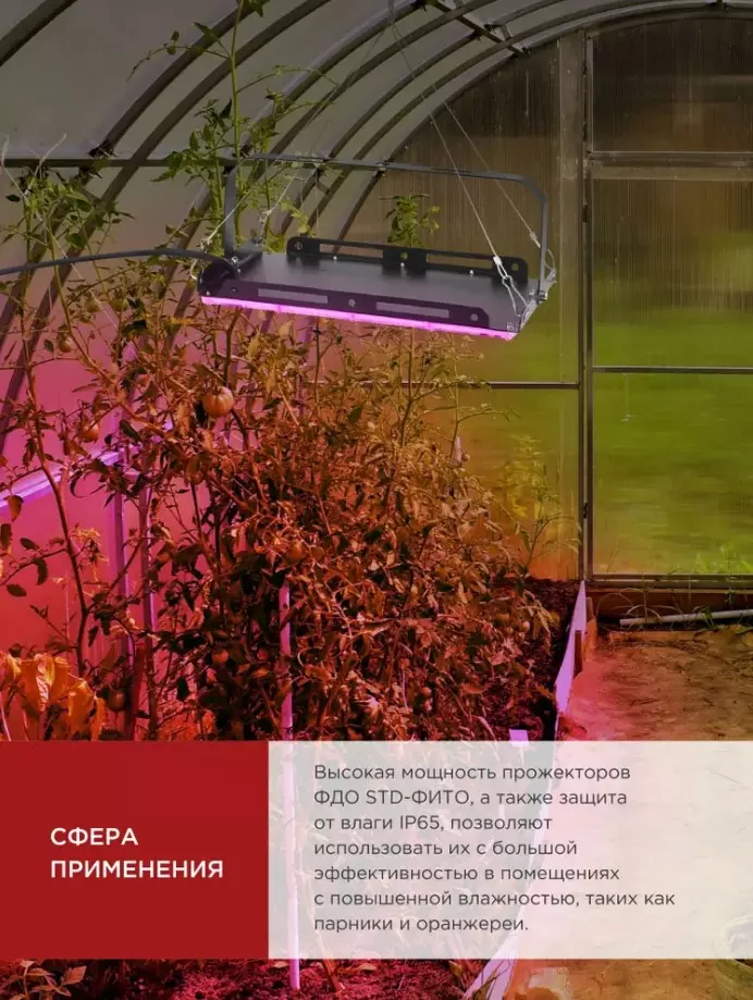 Прожектор для растений 50Вт красно-синий спектр IP65 IN HOME 4690612065045
