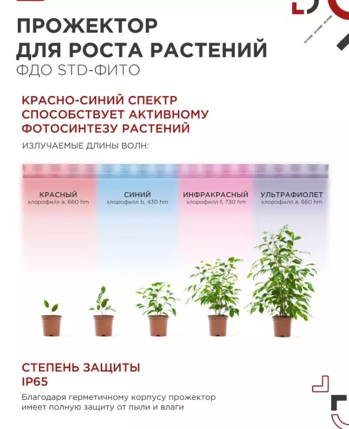 Прожектор для растений 50Вт красно-синий спектр IP65 IN HOME 4690612065045