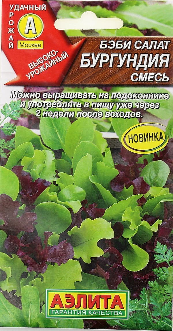 Мини-огород в квартире: как вырастить овощи, зелень и даже клубнику у себя дома