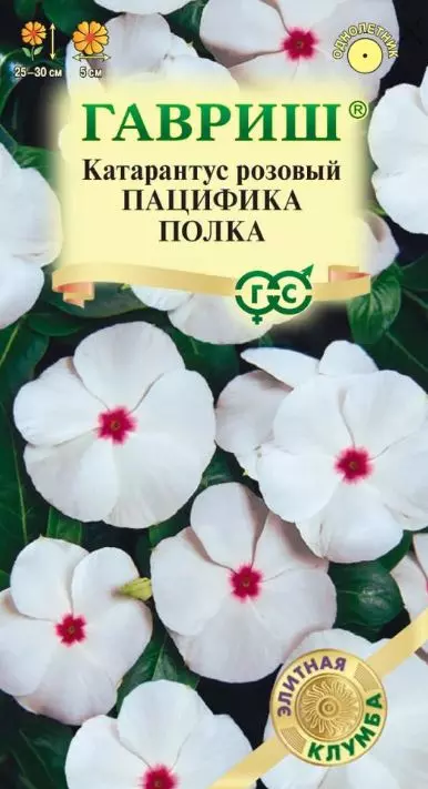 Семена цветов Катарантус Пацифика Полка ГАВРИШ 5 шт ц/п