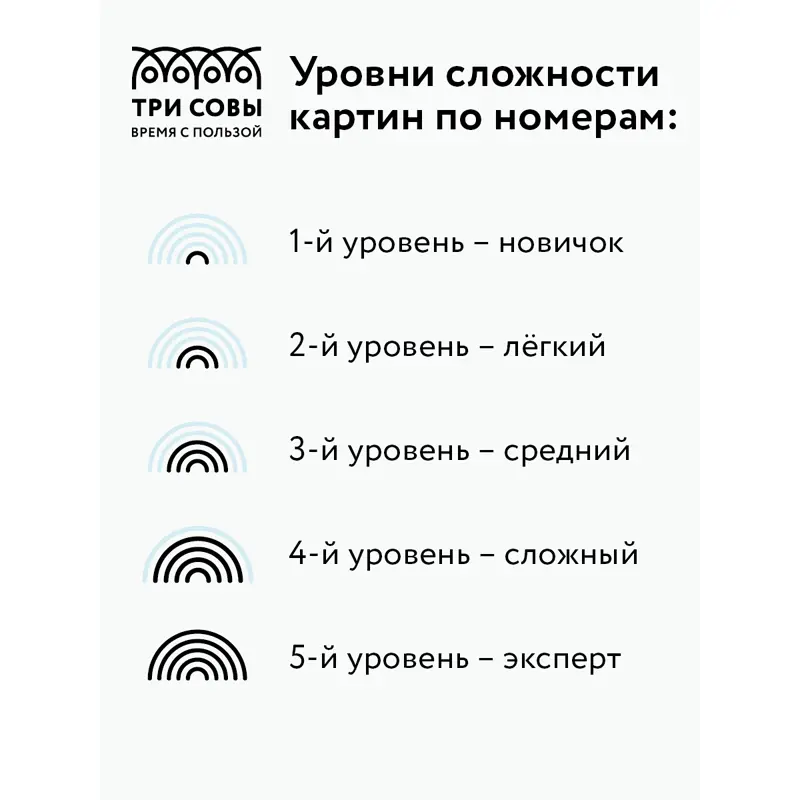 Картина по номерам Единение, на холсте, 30*40 см, с акриловыми красками и кистями, Три совы