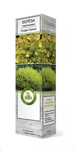 Саженец Береза карликовая Голден Трэжа (в тубе), Поиск