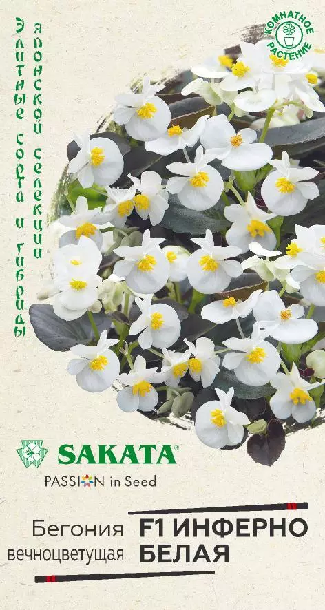 Семена цветов Бегония вечноцветущая Инферно белая F1 ГАВРИШ 4 шт ц/п